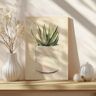 Potted Succulent III