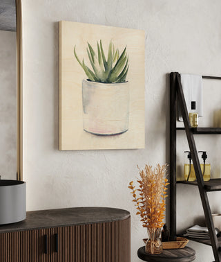 Potted Succulent III