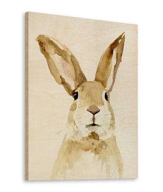 Bunn II