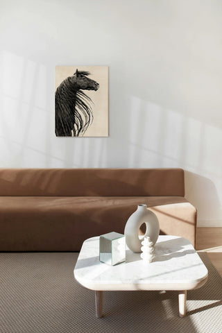 Black and White Horse Portrait II