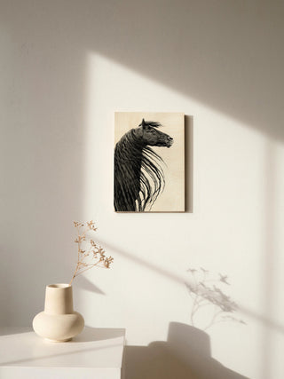 Black and White Horse Portrait II