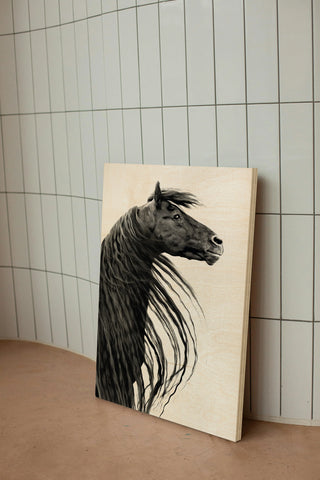 Black and White Horse Portrait II