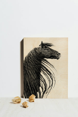 Black and White Horse Portrait II