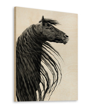 Black and White Horse Portrait II