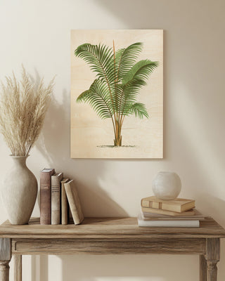Coastal Palm II