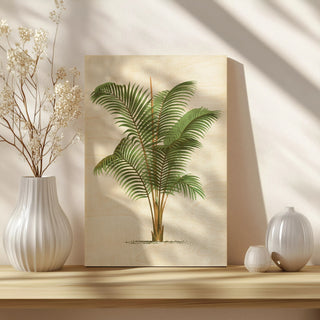 Coastal Palm II