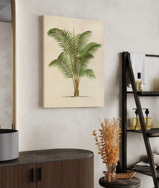 Coastal Palm II