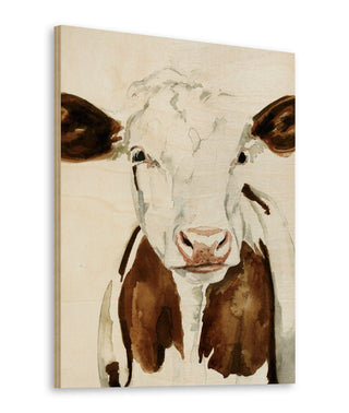 Cow Gaze I