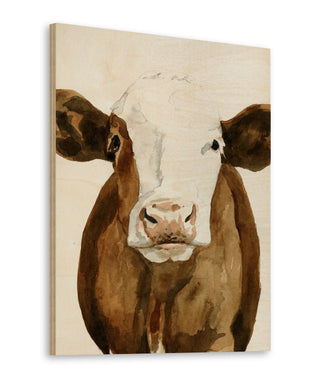 Cow Gaze II