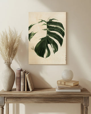 Variegated Monstera II