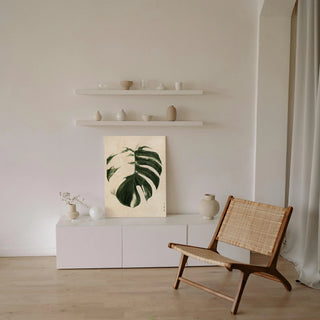 Variegated Monstera II