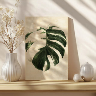 Variegated Monstera II