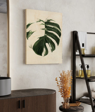 Variegated Monstera II