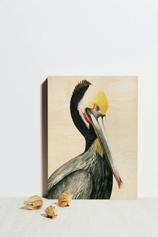 Watercolor Pelican I