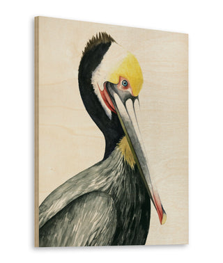 Watercolor Pelican I