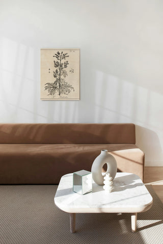 Antique Black & White Botanical III