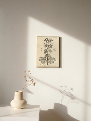 Antique Black & White Botanical III