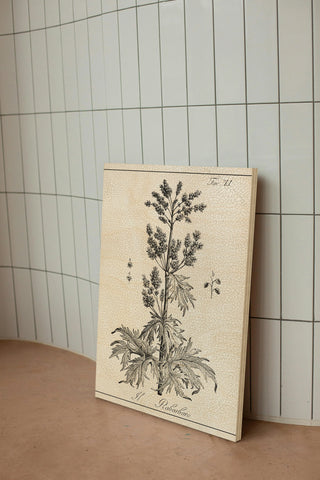 Antique Black & White Botanical III