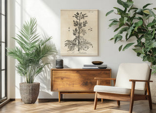 Antique Black & White Botanical III