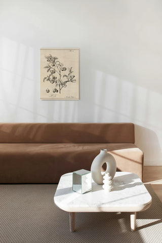 Antique Black & White Botanical IV