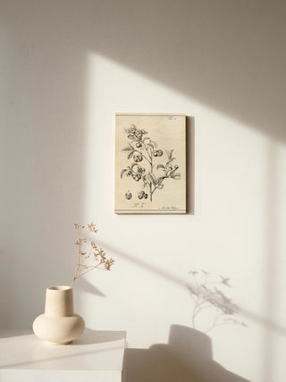 Antique Black & White Botanical IV
