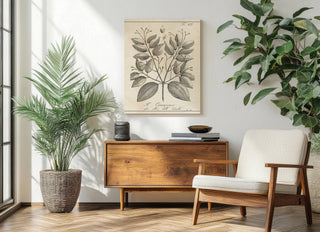 Antique Black & White Botanical VII