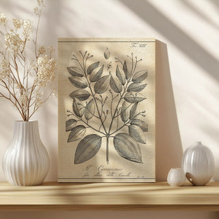 Antique Black & White Botanical VII