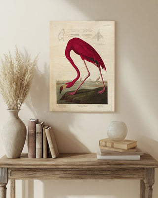 Lustr American Flamingo in Pearl White