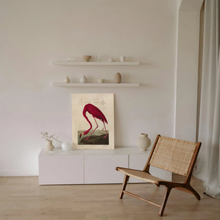 Lustr American Flamingo in Pearl White