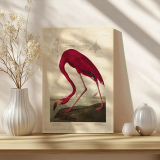 Lustr American Flamingo in Pearl White