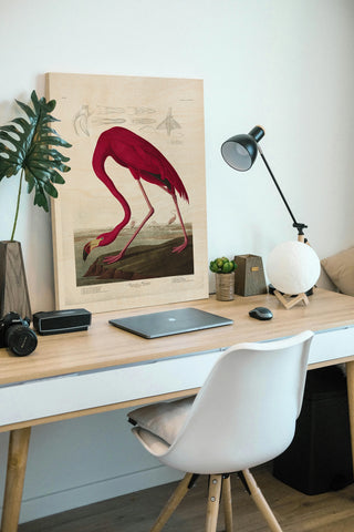Lustr American Flamingo in Pearl White