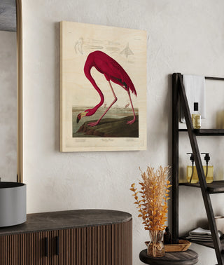 Lustr American Flamingo in Pearl White