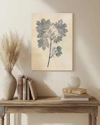 Navy Botanicals I