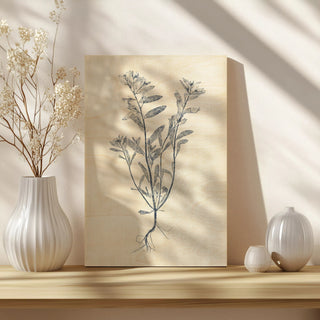 Navy Botanicals II