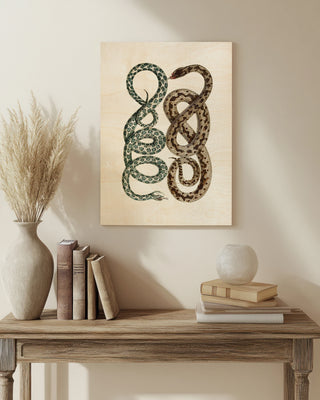 Antique Snakes IV