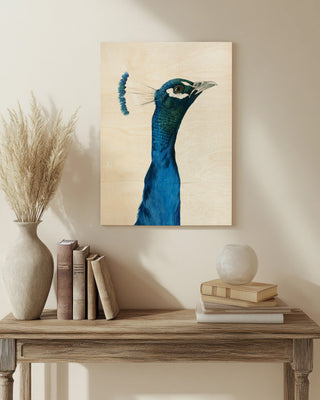 Peacock Portrait I