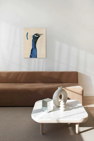 Peacock Portrait I