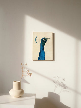 Peacock Portrait I
