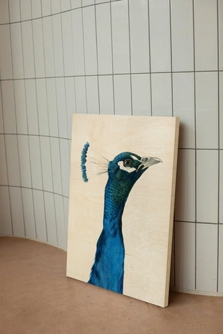 Peacock Portrait I