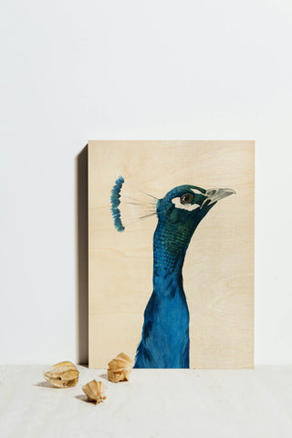Peacock Portrait I