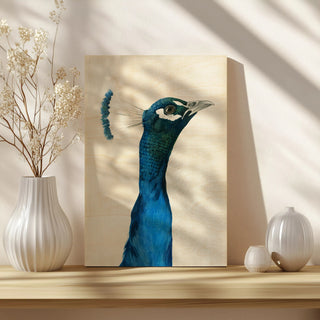 Peacock Portrait I