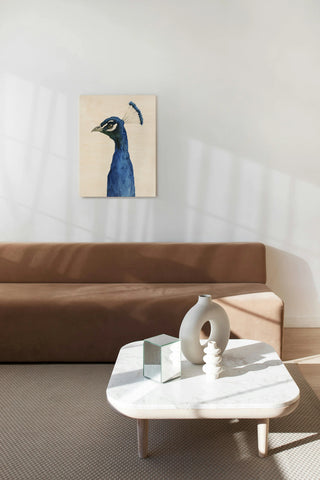 Peacock Portrait II
