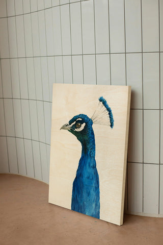 Peacock Portrait II