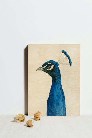 Peacock Portrait II