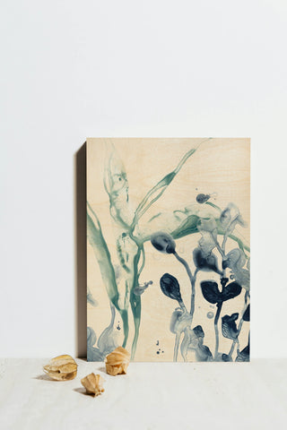 Blue Kelp I