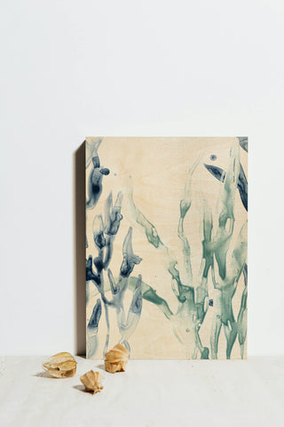 Blue Kelp II