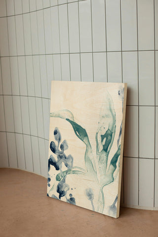 Blue Kelp IV