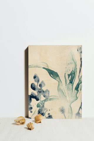 Blue Kelp IV