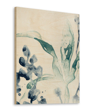 Blue Kelp IV