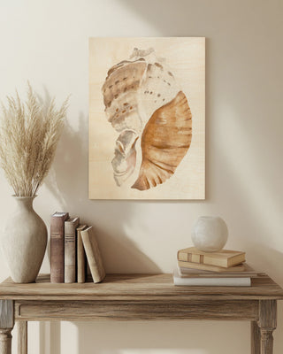 Seashell I